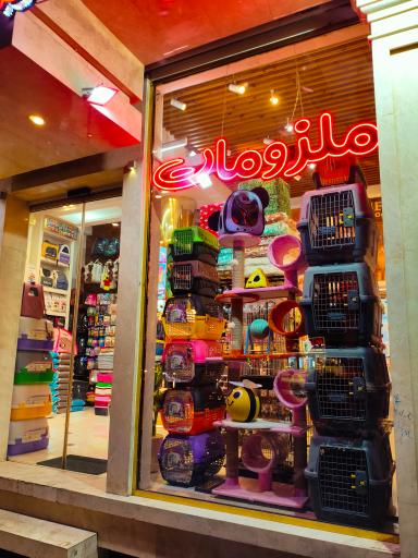 عکس پامر پت شاپ شعبه 2