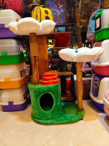 عکس پامر پت شاپ شعبه 2