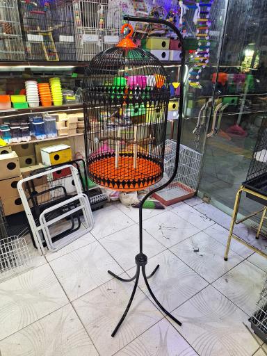 عکس پرنده درنا