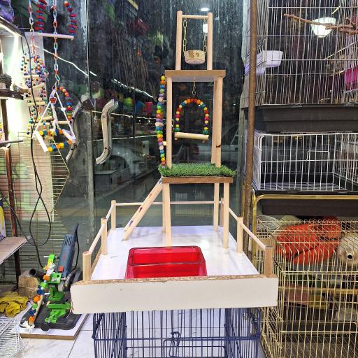 عکس پرنده درنا