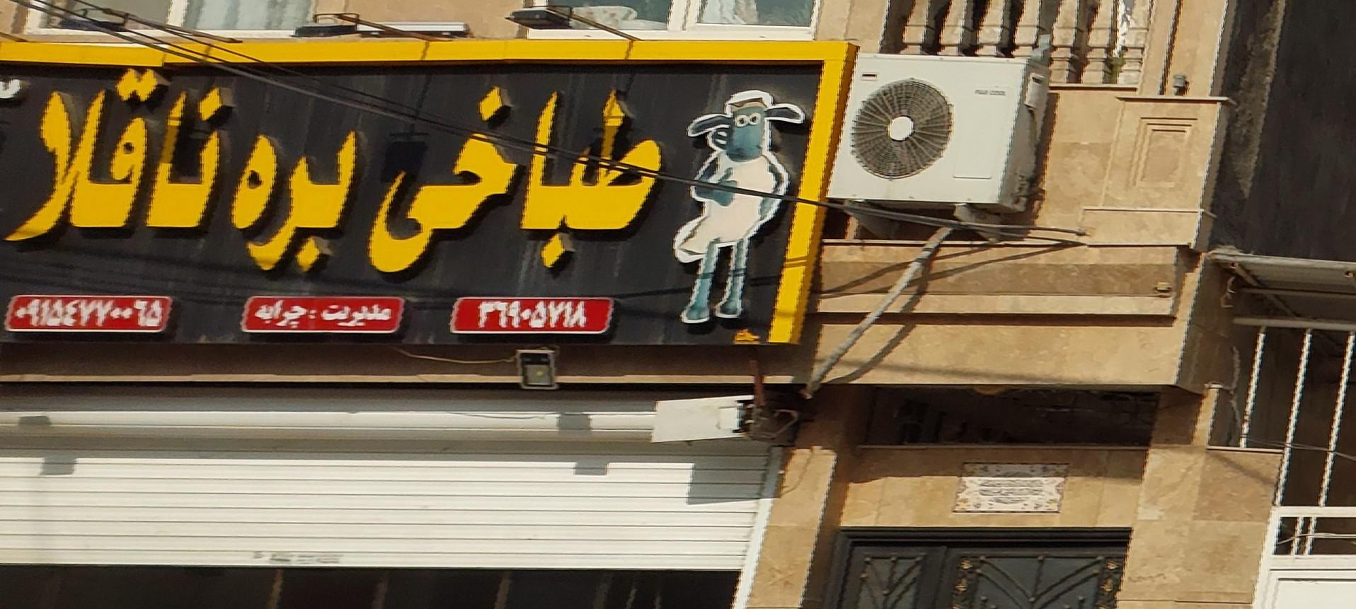 عکس طباخی بره ناقلا