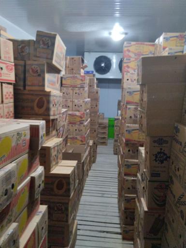 عکس نمایندگی پخش بستنی دومینو(مهدی خسرو بیگی)
