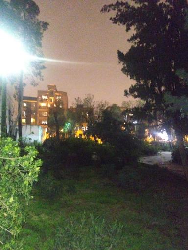 عکس پارک شکوفه 