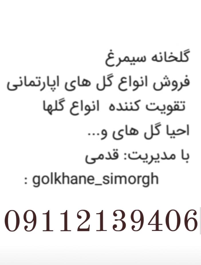 عکس گلخانه سیمرغ