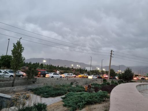 عکس بوستان نیلوفر