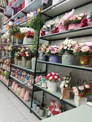 گل سرای نارمیلا