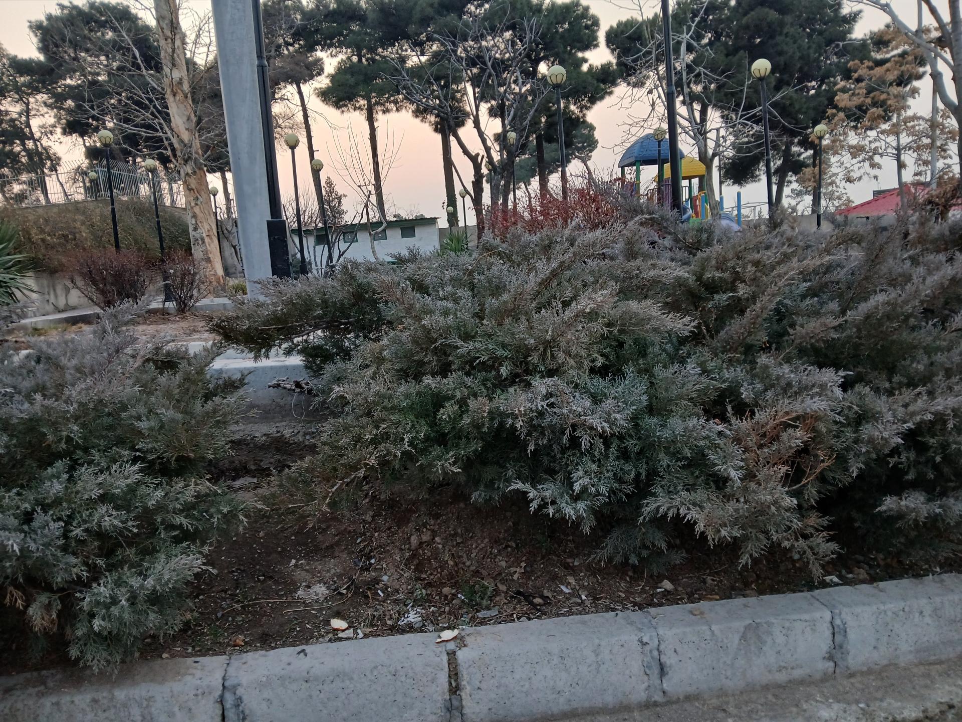 عکس سرویس بهداشتی