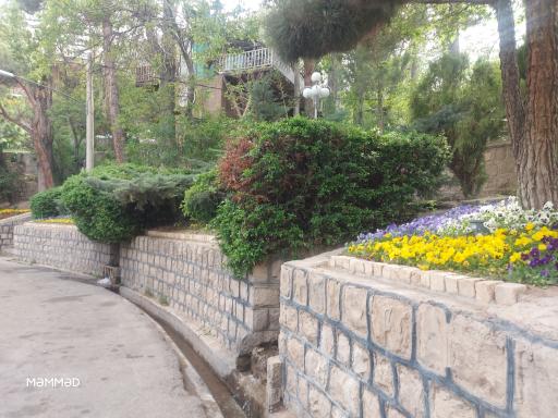 عکس میدان امام خمینی