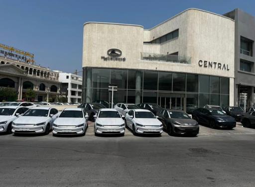 شرکت راین پاک کیش