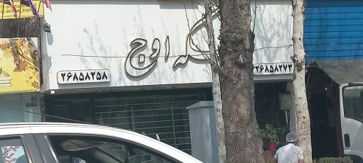 عکس سکه اوج