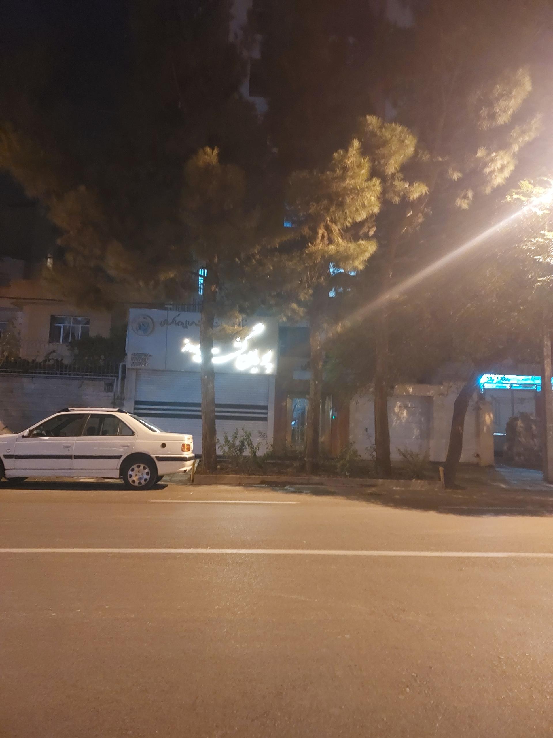 عکس پویان گشت پرواز 