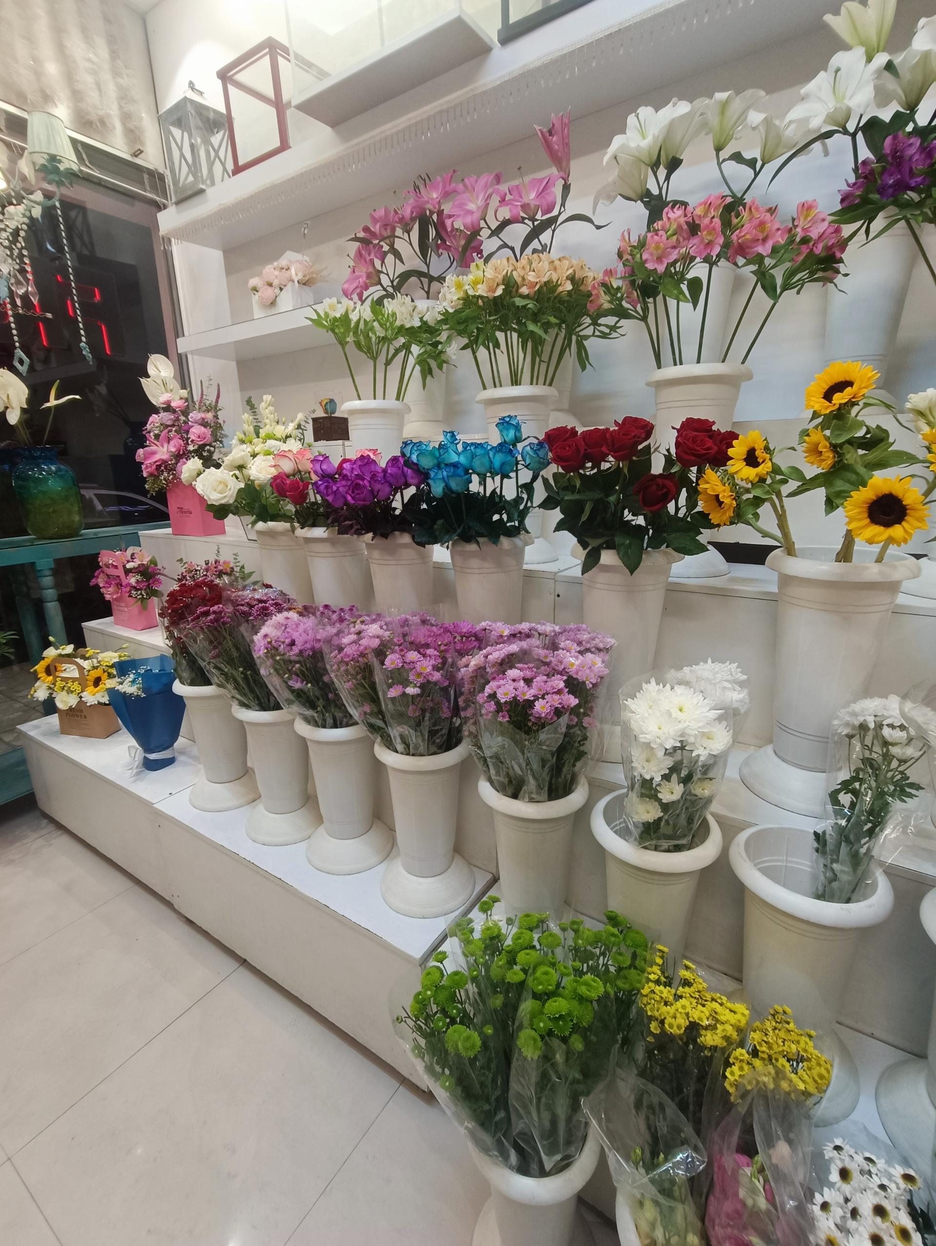 عکس گل فروشی پارمیس