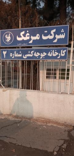 عکس کارخانه جوجه کشی مرغک شماره 2