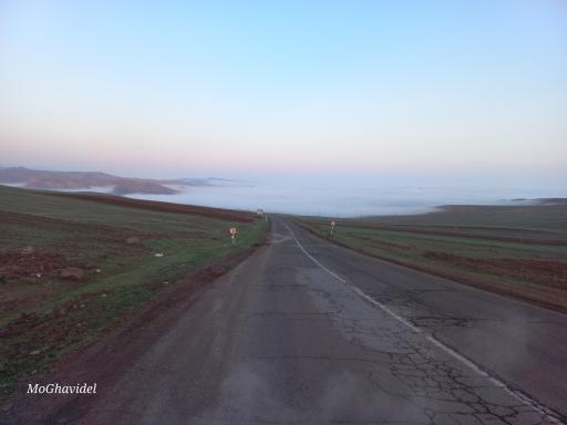 عکس تازه کند انگوت