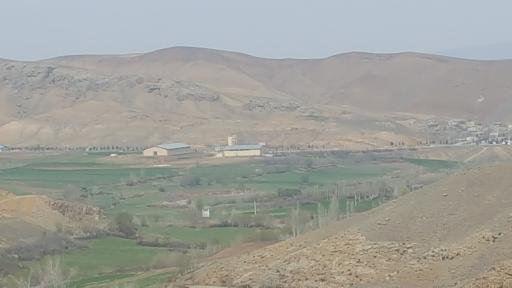 عکس تازه کند انگوت