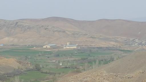 عکس تازه کند انگوت