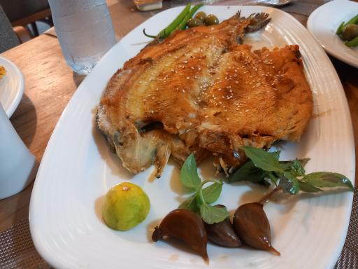 عکس هتل آپارتمان و رستوران سروش