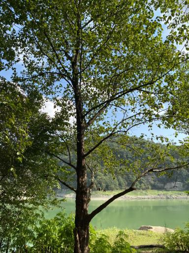 عکس دریاچه سد میجران