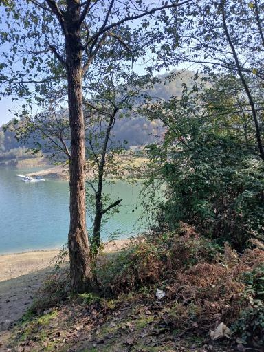 عکس دریاچه سد میجران