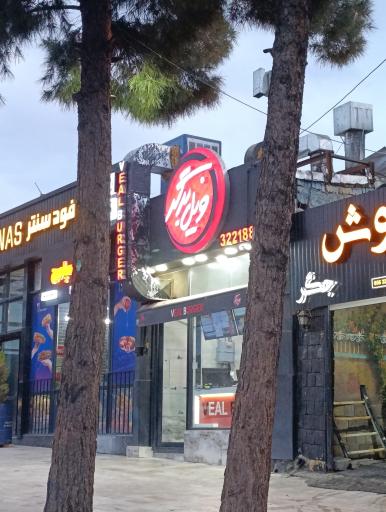 عکس ویل برگر