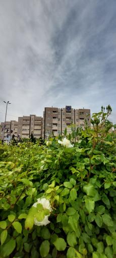 عکس مجتمع امام رضا