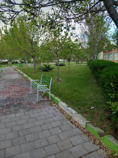 عکس باغ پارک توتستان