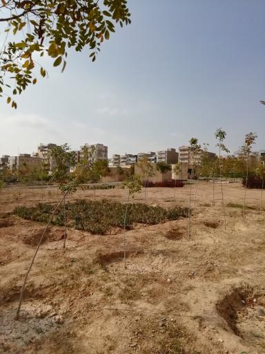 عکس پارک نیاوران