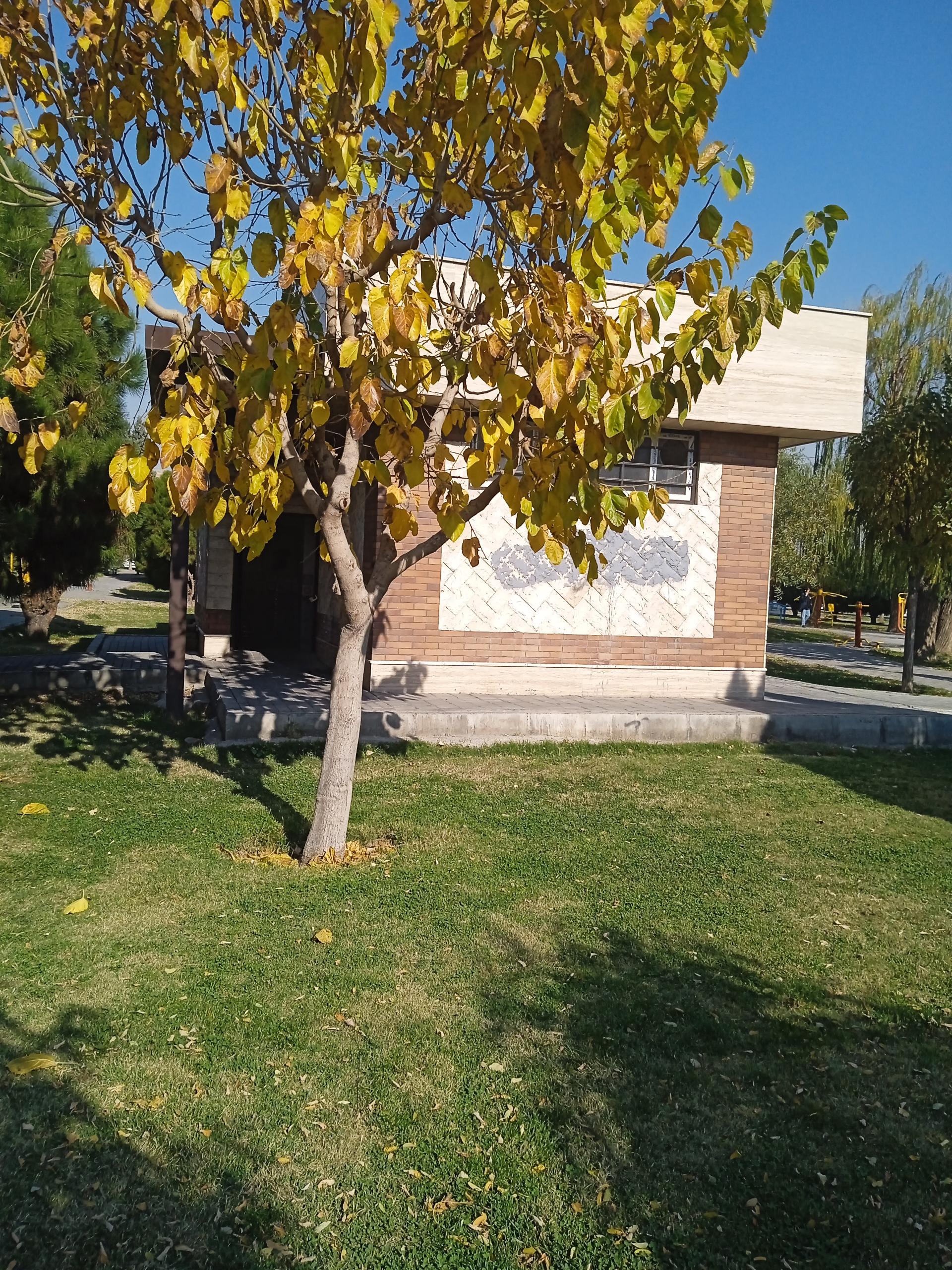 عکس سرویس بهداشتی عمومی 