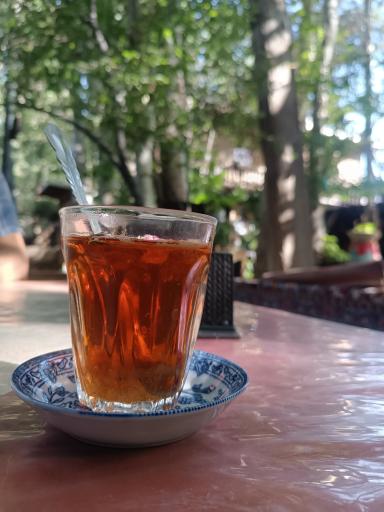 عکس باغ رستوران کوهاب