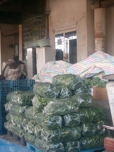 عکس فاز 1 سالن A 5