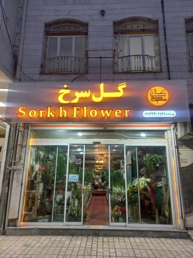 عکس گل فروشی گل سرخ