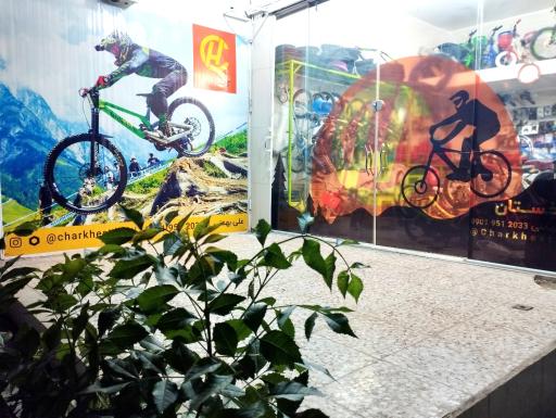 عکس فروشگاه دوچرخه چرخستان قم