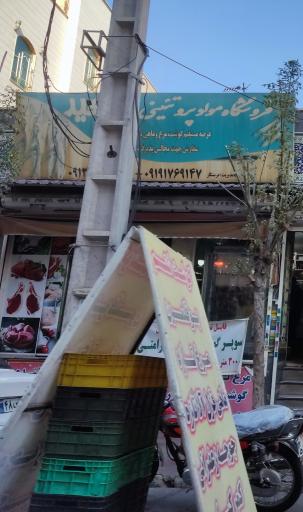 عکس فروشگاه مواد پروتئینی سعید