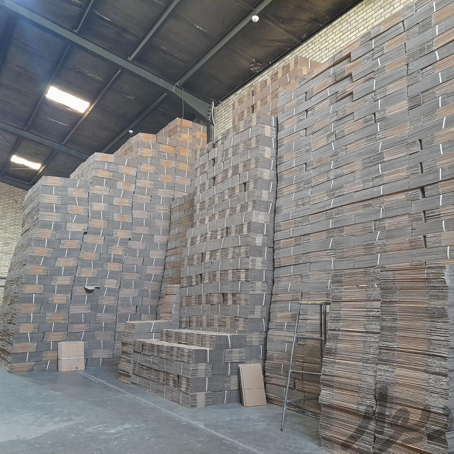 عکس کارتن سازی سربازی 