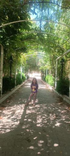 عکس رستوران سنتی تاج محل (شعبه جدید)