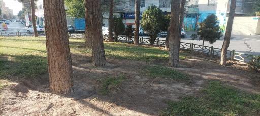 عکس فلکه دوم تختی