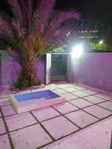 عکس کلینیک دامپزشکی مشتاق 