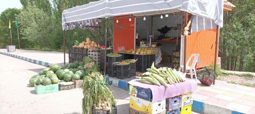 عکس میوه فروشی ولیعصر