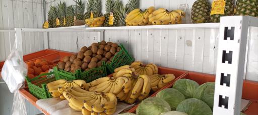 عکس میوه فروشی ولیعصر