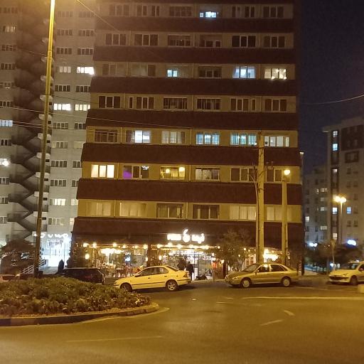 عکس ویکی میوه ، شعبه رشدیه