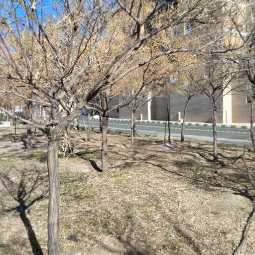 عکس بوستان کوثر