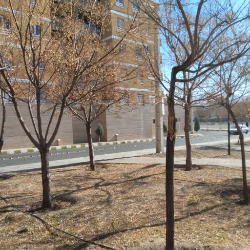 عکس بوستان کوثر