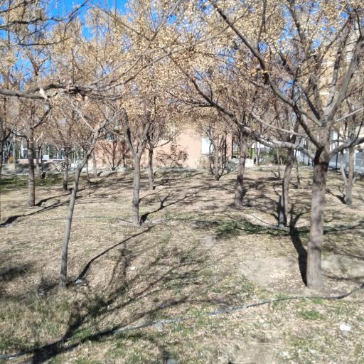 بوستان کوثر