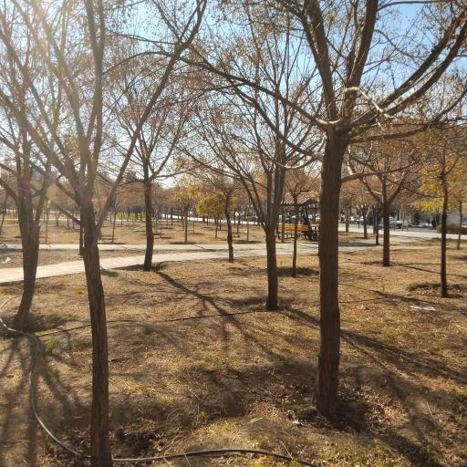 عکس بوستان کوثر