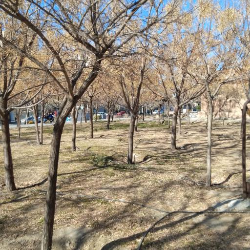 عکس بوستان کوثر