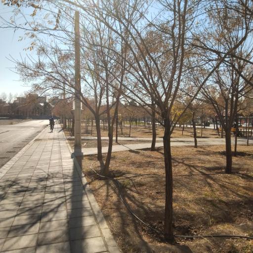 عکس بوستان کوثر