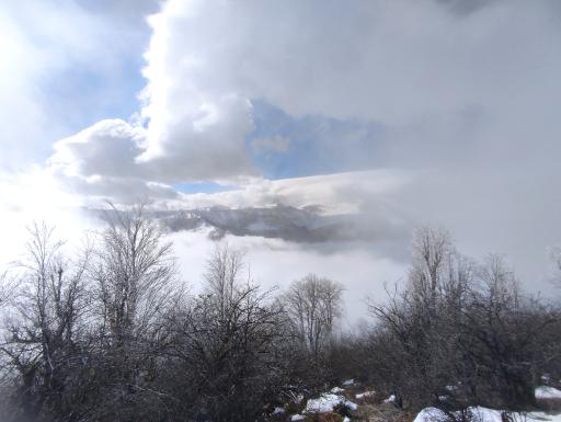 عکس ییلاق چره پشت