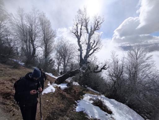 عکس ییلاق چره پشت