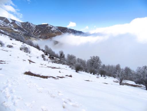 عکس ییلاق چره پشت