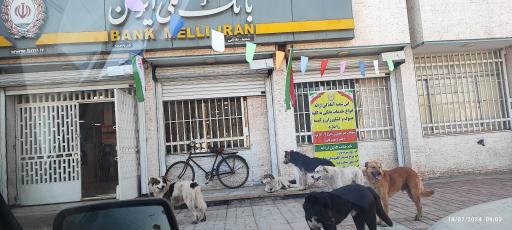 عکس ملاثانی